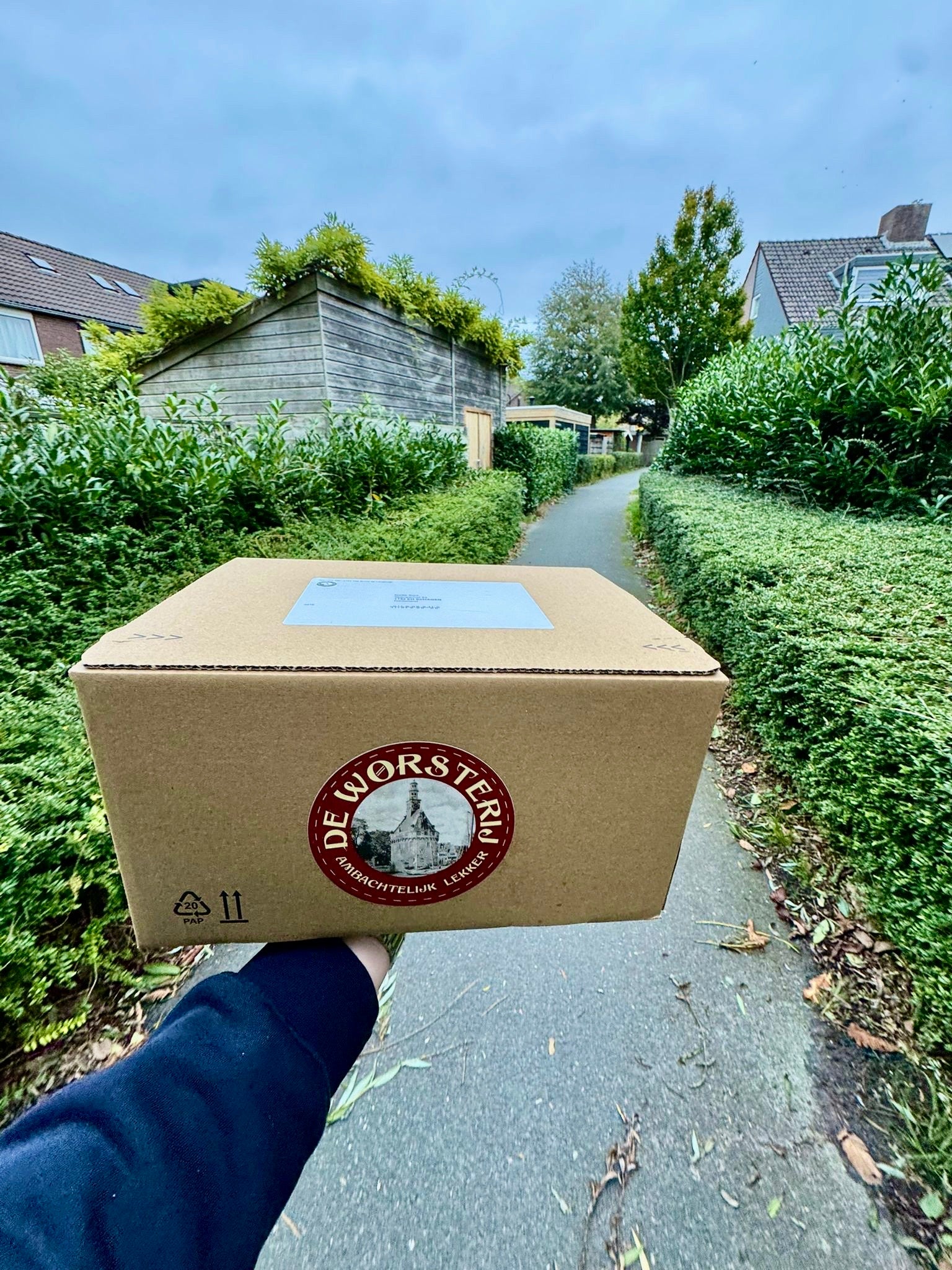 Collection of  in a gallery layout